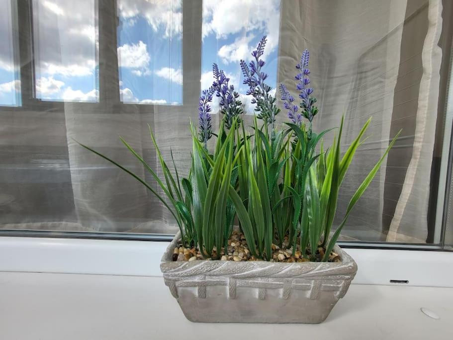 Bright City Apartment Варна Екстериор снимка